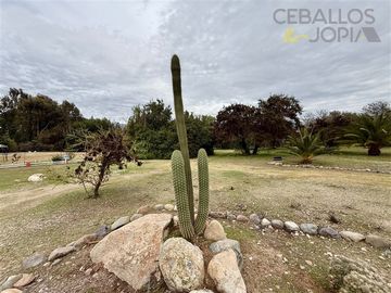 Casa en venta de 6 dorm. en Olmué