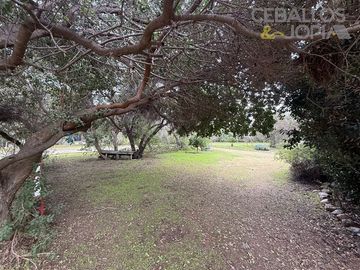 Casa en venta de 6 dorm. en Olmué