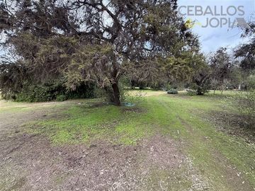 Casa en venta de 6 dorm. en Olmué