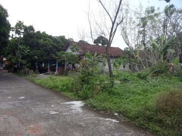 Tanah di Prambanan Murah Cuma 1 Juta per meter dekat Kantor Kelurahan