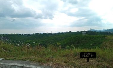 Overlooking 361 Sqm Residential Lot for Sale in Vista Verde Consolacion Cebu