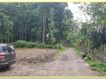 Legalitas SHM-P: Tanah Murah Area Sleman, Timur Pasar Jangkang⁣