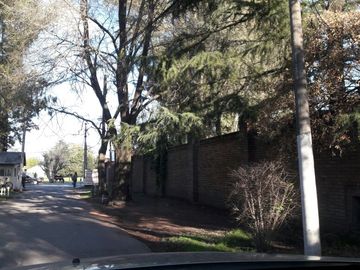 CASA IDEAL DESARROLLO- SOBRE 202 ESQUINA VELAZQUEZ