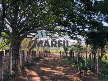 Rancho en Venta para Agricultura o Ganadería en Juluapan, Colima