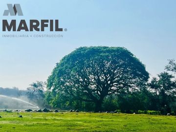 Rancho en Venta para Agricultura o Ganadería en Juluapan, Colima