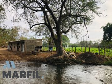 Rancho en Venta para Agricultura o Ganadería en Juluapan, Colima