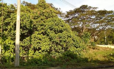Most Affordable 129 Sqm Lot for Sale in Greenwoods near Talamban Cebu City