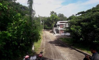 Most Affordable 129 Sqm Lot for Sale in Greenwoods near Talamban Cebu City