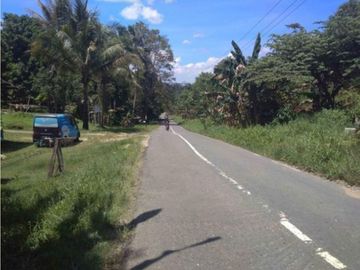 Jual Tanah Luas Cocok Untuk Apa Saja di Sorong Klamono daerah Aimas Sorong