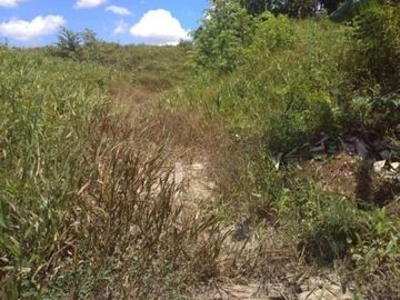Jual Tanah Luas Cocok Untuk Apa Saja di Sorong Klamono daerah Aimas Sorong