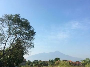 Jual Tanah Ciomas Bogor