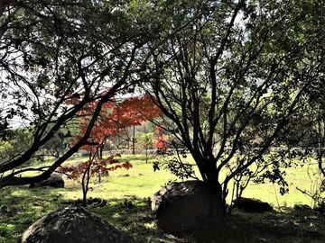 Parcela en Venta en Parcela Santa Sofía de Lo Cañas - La Florida