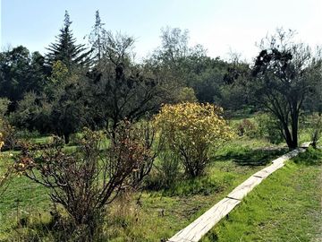 Parcela en Venta en Parcela Santa Sofía de Lo Cañas - La Florida