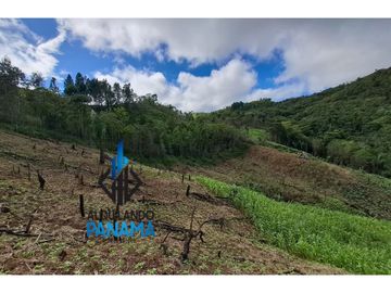 Se Vende Finca Ganadera 33 Ha Herrera Chepo USD255000