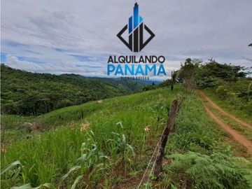 Se Vende Finca Ganadera 33 Ha Herrera Chepo USD255000