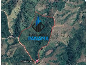Se Vende Finca Ganadera 33 Ha Herrera Chepo USD255000