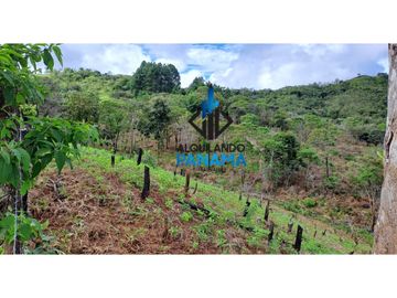 Se Vende Finca Ganadera 33 Ha Herrera Chepo USD255000