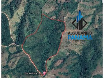 Se Vende Finca Ganadera 33 Ha Herrera Chepo USD255000