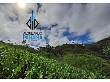 Se Vende Finca Ganadera 33 Ha Herrera Chepo USD255000