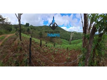 Se Vende Finca Ganadera 33 Ha Herrera Chepo USD255000