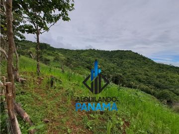 Se Vende Finca Ganadera 33 Ha Herrera Chepo USD255000