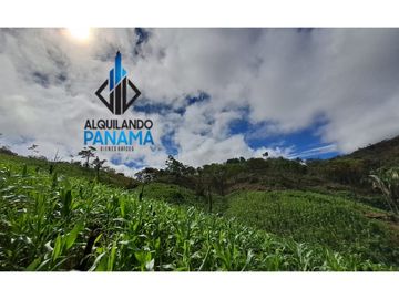 Se Vende Finca Ganadera 33 Ha Herrera Chepo USD255000
