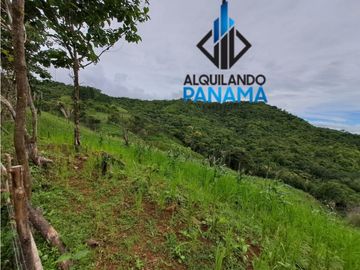 Se Vende Finca Ganadera 33 Ha Herrera Chepo USD255000