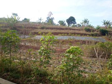 4732 M2 Tanah Kebun Dekat Pemkab Bandung Barat, Pasirsalam, Ngamprah.