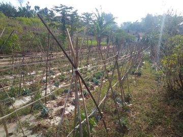 4732 M2 Tanah Kebun Dekat Pemkab Bandung Barat, Pasirsalam, Ngamprah.