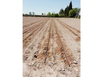 Campo de 3 has ingreso por calle  Vargas y Castro Barros Maipu