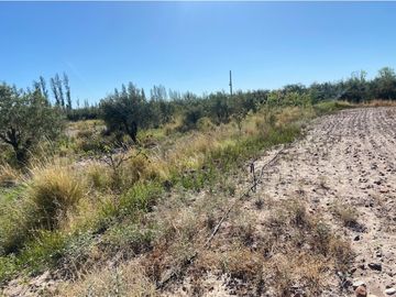 Campo de 3 has ingreso por calle  Vargas y Castro Barros Maipu