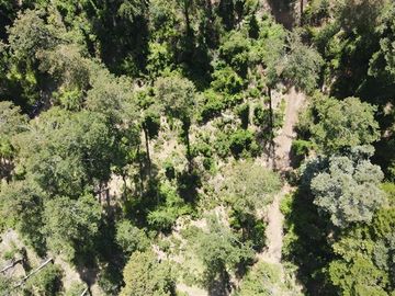 Parcela en venta de 5000 M2 con dos casas nuevas
