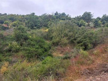 Sitio en Venta en Barrio Privado Lomas del Mauco