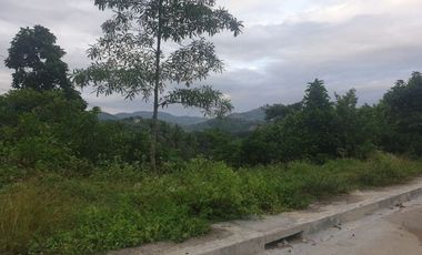 280 Sqm Subdivision Lot for Sale in Greenwoods near Talamban Cebu City with Scenic Mountain Views