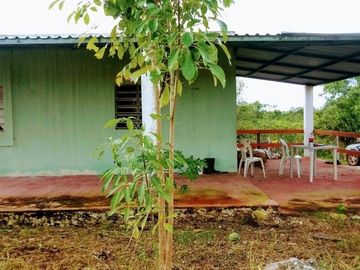 Excelente Opción, Rancho en Venta de 32 has, 2 km de Tizimin