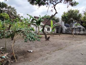 Tanah Sleman Disewakan di Demangan: Luas 1.100m2