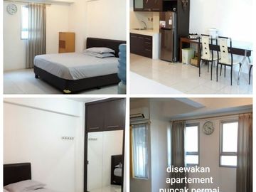 Di sewakan Apartemen Puncak Permai surabaya