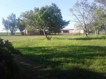 VENDO!! CAMPO AGRÃCOLA EN BOVRIL