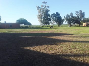 VENDO!! CAMPO AGRÃCOLA EN BOVRIL