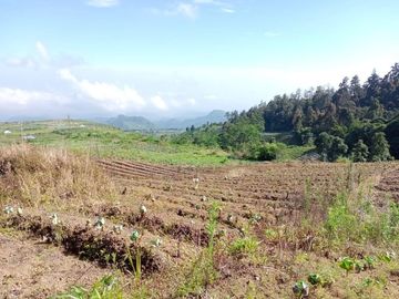Tanah kemuning paralayang 1000m 250jt