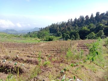 Tanah kemuning paralayang 1000m 250jt