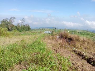 Tanah kemuning paralayang 1000m 250jt