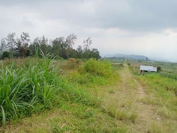 Tanah kemuning paralayang 1000m 250jt
