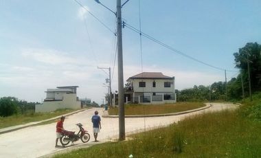 328 Sqm Lot for Sale in Vista Grande Talisay Cebu City