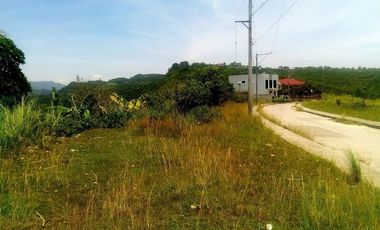 328 Sqm Lot for Sale in Vista Grande Talisay Cebu City
