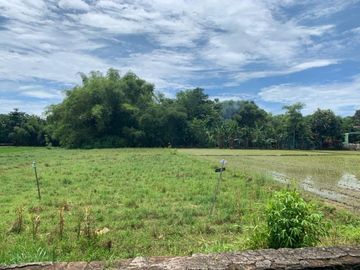 12X Cicil Tanpa Bunga Jebugan Regency