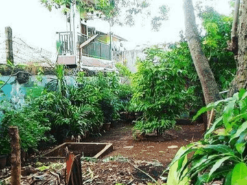 Dijual Rumah Dengan Taman Luas Classic Tropical Di Kebon Jeruk