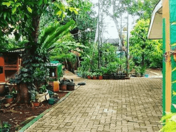 Dijual Rumah Dengan Taman Luas Classic Tropical Di Kebon Jeruk