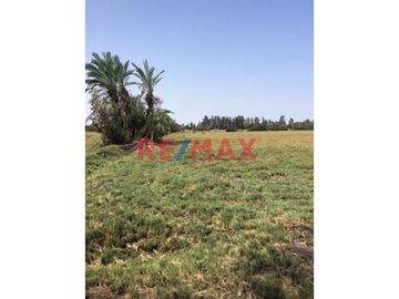 Excelente oportunidad de adquirir 2 Hectáreas de lindo terreno (20,000 M2) en el predio Santa Luisa en el sector de Ocas Bajo a solo 5 minutos del aer