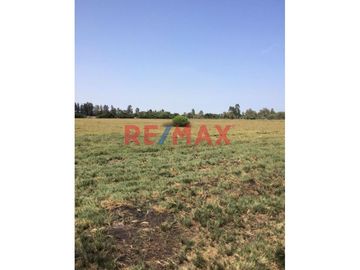 Excelente oportunidad de adquirir 2 Hectáreas de lindo terreno (20,000 M2) en el predio Santa Luisa en el sector de Ocas Bajo a solo 5 minutos del aer